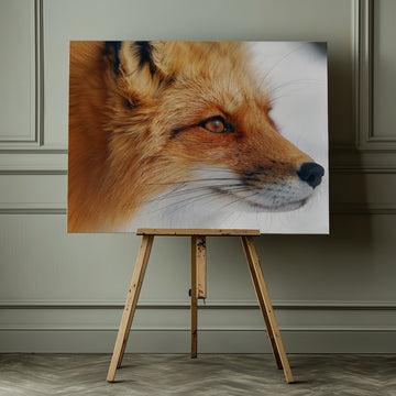 Observant Red Fox | Canvas - Room Interior 1