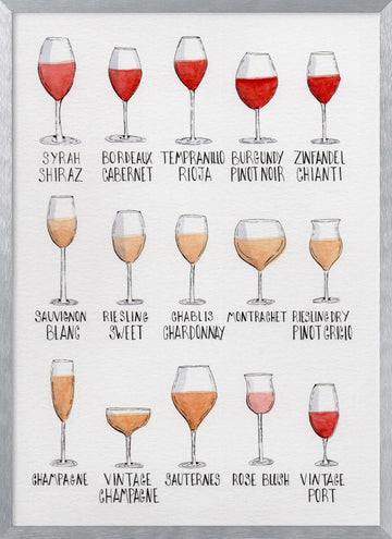 Wine Glass Varieties | Poster - Silver Frame Interior