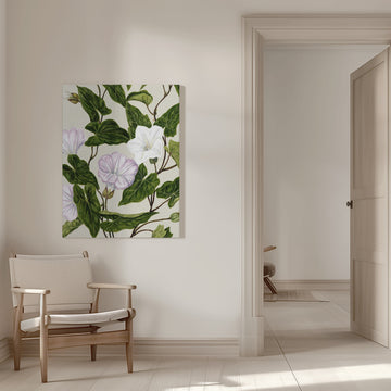 Bindweed Pohu By Sarah Featon (1848–1927) | Canvas - Room Interior 1