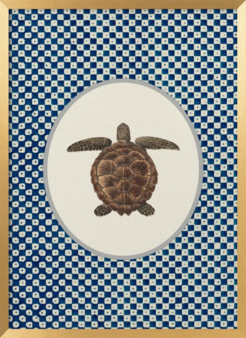 Shibori Sea Turtle | Poster - Gold Frame Interior