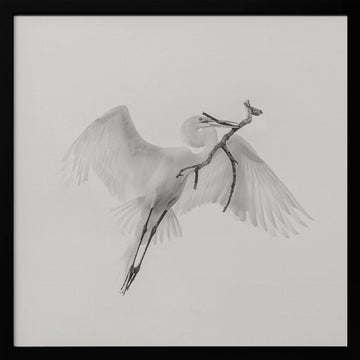 White Egret Carrying Branch | Poster - Black Metal Frame Interior