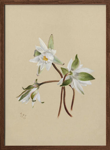 Water Lilies (1879) | Poster - Walnut Frame Interior