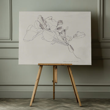 Radish Botanical Drawing | Canvas - Canvas Interior