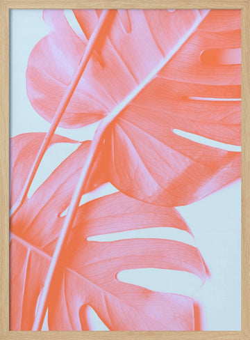 Coral Monstera Glow | Poster - Wood Frame Interior