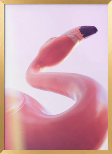 Graceful Pink Flamingo | Poster - Gold Frame Interior