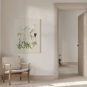 Wahlenbergias Drawn | Canvas - Room Interior 1