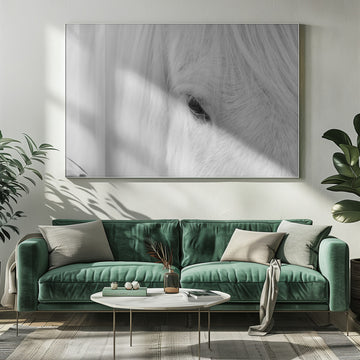White Horse Gaze | Poster - Room Interior 1