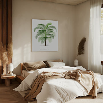 Xi Cocos Weddeliana | Canvas - Room Interior 2
