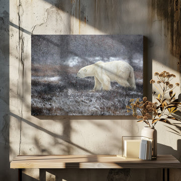 Snowfall Polar Bear | Canvas - Room Interior 2