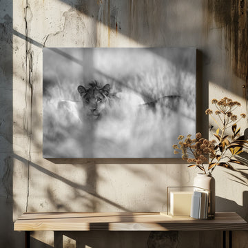 Hidden Lion Gaze | Canvas - Room Interior 2