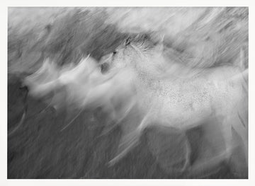 Dynamic White Horse | Poster - White Frame Interior