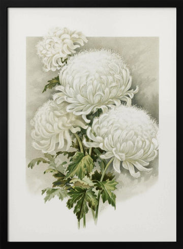 Mrs. Alpheus Hardy | Poster - Black Metal Frame Interior