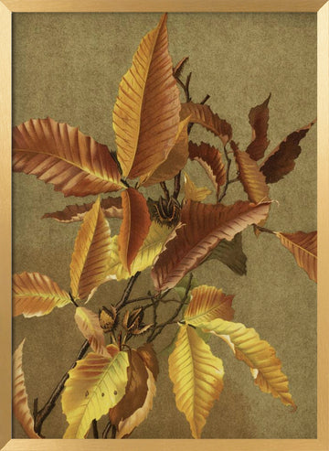 Autumn Leaves No. 3 Beech By Ellen Thayer Fisher | Poster - Gold Frame Interior