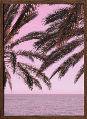 Pink Sky Tropical Palms | Poster - Walnut Frame Interior