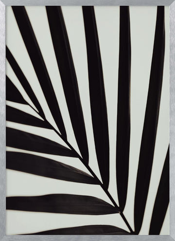 Tropical Leaf Lines | Poster - Silver Frame Interior