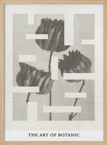 The art of botanic No.1 | Poster - Wood Frame Interior