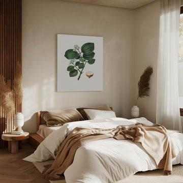 Poison Nu (strychnos Nux Vomica) Medical Botany | Canvas - Room Interior 2