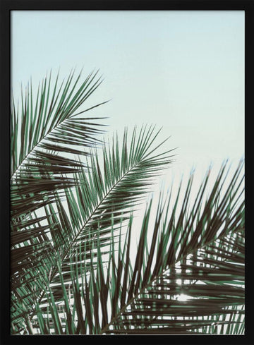 Tropical Palm Fronds | Poster - Black Metal Frame Interior