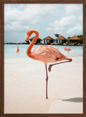 Pink Flamingo Beach | Poster - Walnut Frame Interior