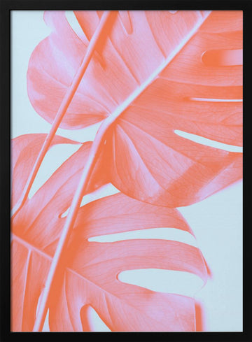 Coral Monstera Glow | Poster - Black Metal Frame Interior