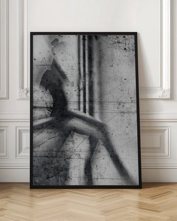 Shadow Dancer | Poster - Room Interior 1