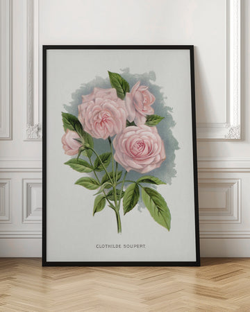 Pink Rose, Clothilde Soupert Lithograph | Poster - Room Interior 1