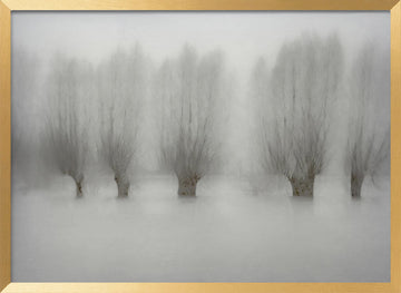 High water | Poster - Gold Frame Interior