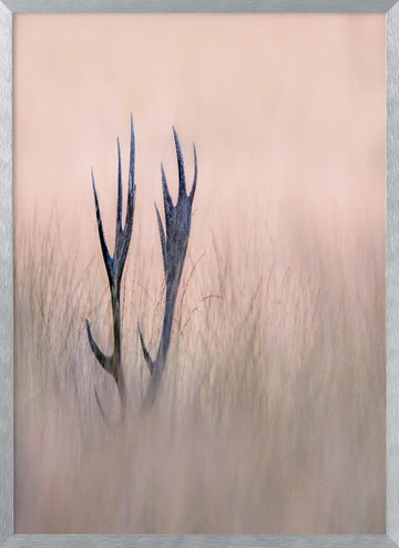 Ethereal Deer Antlers | Poster - Silver Frame Interior