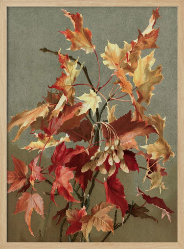 Autumn Leaves, No. 2 (maple) By Ellen Thayer Fisher | Poster - Wood Frame Interior