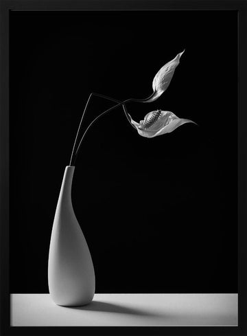 Graceful Peace Lilies Vase | Poster - Black Metal Frame Interior