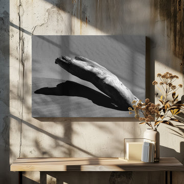 Desert Driftwood Shadow | Canvas - Room Interior 2