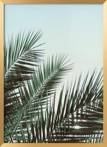 Tropical Palm Fronds | Poster - Gold Frame Interior