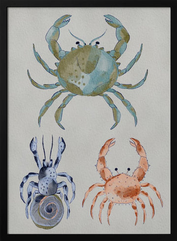Ocean Crabs Watercolor | Poster - Black Metal Frame Interior