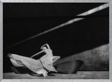 Graceful Shadow Dance | Poster - Silver Frame Interior