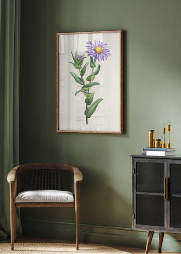 Purple Aster Botanical Study | Poster - Room Interior 2