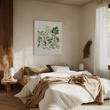 Rubens Australis By Sarah Featon | Canvas - Room Interior 2