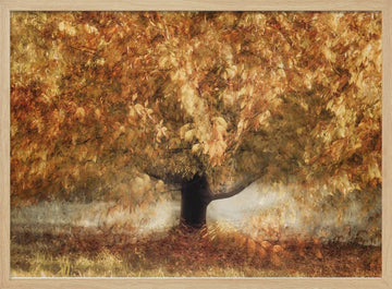 Gold colors | Poster - Wood Frame Interior