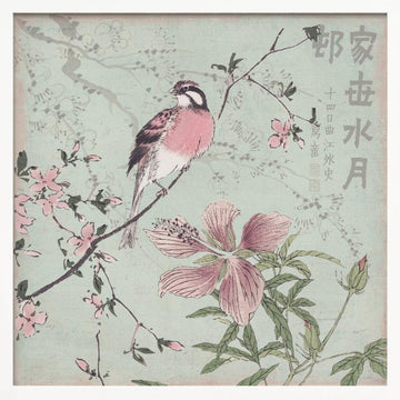 Pink Bird Cherry Blossoms | Poster - White Frame Interior
