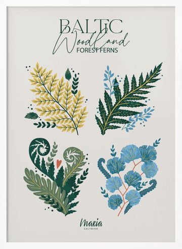 Baltic Woodland Ferns | Poster - White Frame Interior