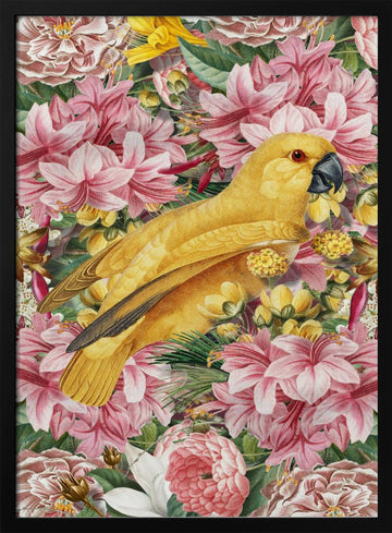 Yellow Parrot Tropical Flowers | Poster - Black Metal Frame Interior
