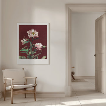 Hærdaceous Peony no2 | Canvas - Room Interior 1