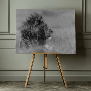 Majestic Lion Profile | Canvas - Room Interior 1