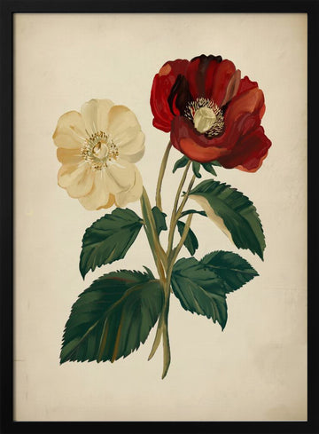 Elegant Red Yellow Flowers | Poster - Black Metal Frame Interior