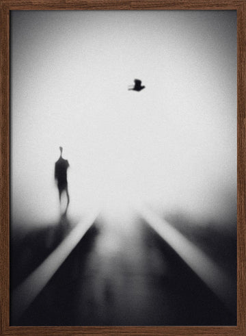 Solitary Man Flying Bird | Poster - Walnut Frame Interior