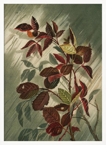 Autumn Leaves In the Rain | Poster - White Frame Interior