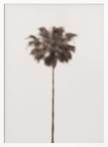 Blurred Palm Tree | Poster - White Frame Interior