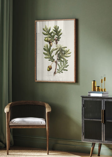 Pyrenean Oak Botanical Art | Poster - Room Interior 2