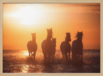 Wild Horses Sunset Run | Poster - Wood Frame Interior