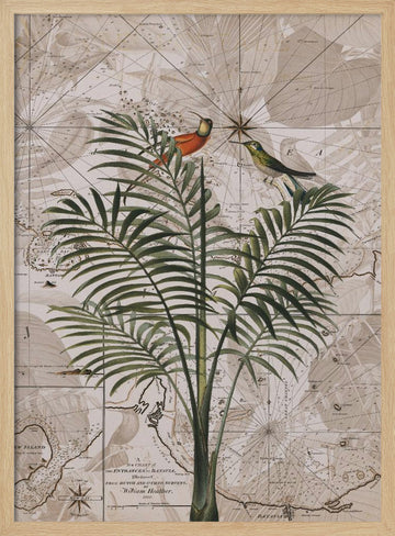 Tropical Birds on Vintage Map | Poster - Wood Frame Interior