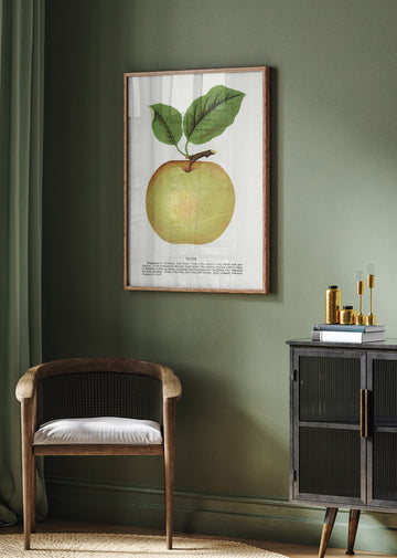 Mann Apple Lithograph | Poster - Room Interior 2